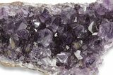 Sparking, Purple, Amethyst Crystal Cluster - Uruguay #249554-2